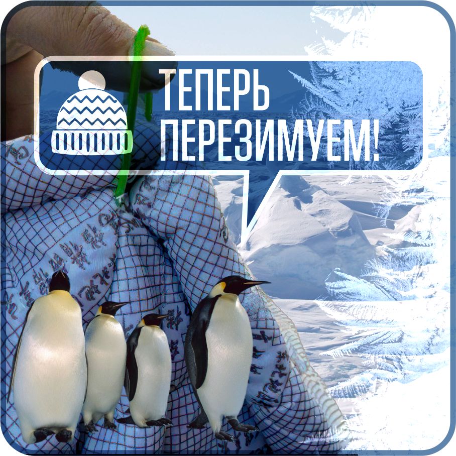 6860141673.jpg Чехол на автомобиль зимний от снега, авто одеяло портативный гараж д490*в180 джип — изображение 9