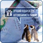 Чехол на автомобиль зимний от снега, авто одеяло портативный гараж д490*в180 джип — изображение 7