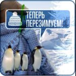 Портативный гараж "Зимний Щит", тент чехол 475*200 кроссовер. — изображение 7
