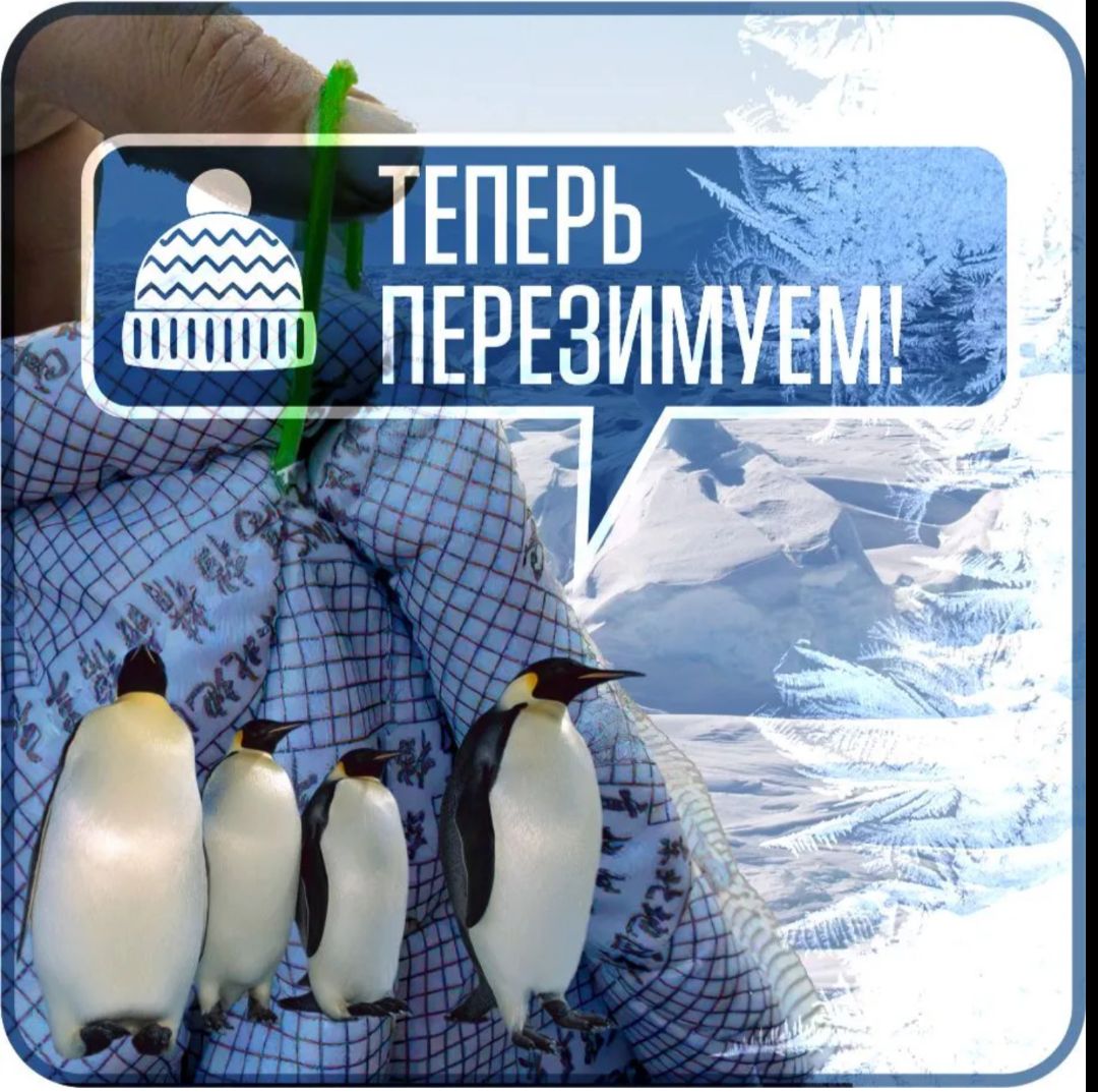 7117156258.jpg Портативный гараж "Зимний Щит", тент чехол 475*200 кроссовер. — изображение 7