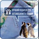 Портативный гараж "Зимний Щит", тент чехол на машину от снега и дождя д425*в165 см. — изображение 5