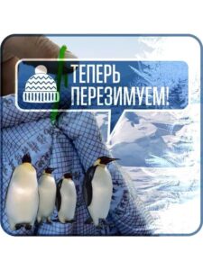 Портативный гараж "Зимний Щит", тент чехол на машину от снега и льда д380*в170 см — изображение 2