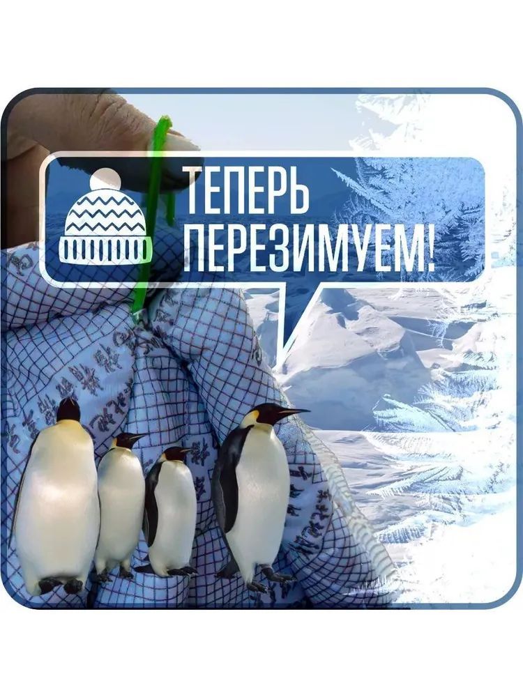7190680736.jpg Портативный гараж "Зимний Щит", тент чехол на машину от снега и льда д380*в170 см — изображение 2